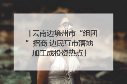 云南边境州市“组团”招商 边民互市落地加工成投资热点