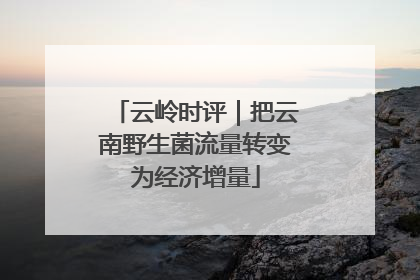 云岭时评｜把云南野生菌流量转变为经济增量
