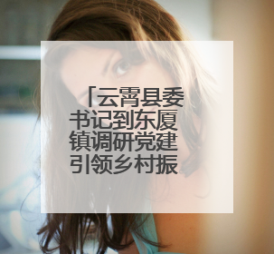 云霄县委书记到东厦镇调研党建引领乡村振兴等重点工作