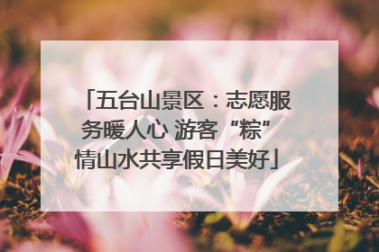 五台山景区：志愿服务暖人心 游客“粽”情山水共享假日美好