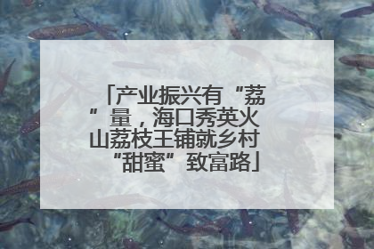 产业振兴有“荔”量，海口秀英火山荔枝王铺就乡村“甜蜜”致富路