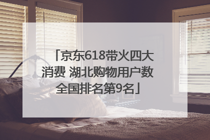 京东618带火四大消费 湖北购物用户数全国排名第9名
