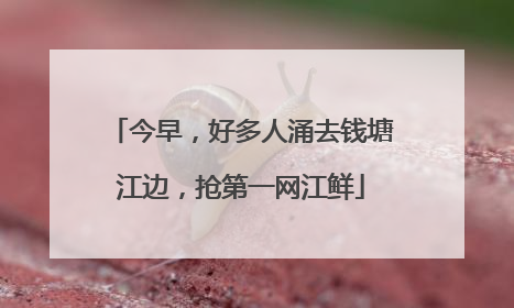 今早，好多人涌去钱塘江边，抢第一网江鲜
