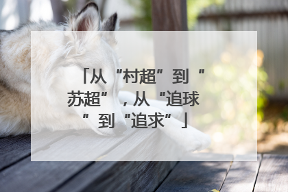 从“村超”到“苏超”，从“追球”到“追求”