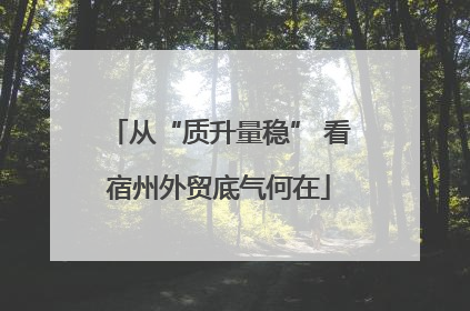 从“质升量稳” 看宿州外贸底气何在