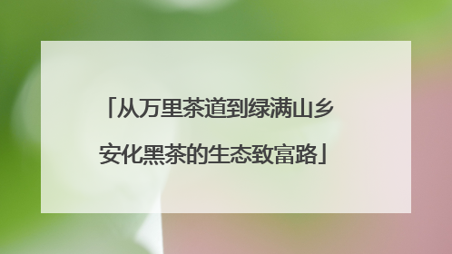 从万里茶道到绿满山乡 安化黑茶的生态致富路