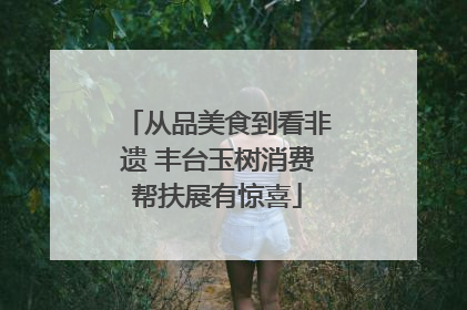从品美食到看非遗 丰台玉树消费帮扶展有惊喜