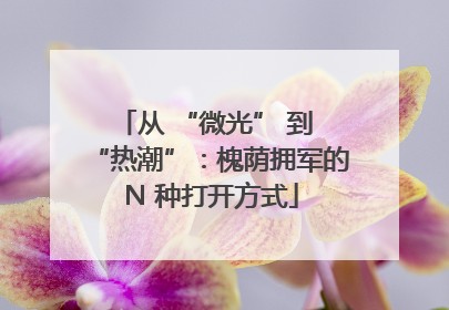 从 “微光” 到 “热潮”：槐荫拥军的 N 种打开方式