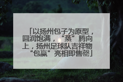 以扬州包子为原型，圆润饱满，“蒸”腾向上，扬州足球队吉祥物“包赢”亮相即售罄
