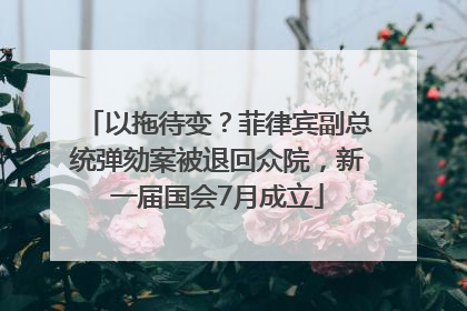 以拖待变？菲律宾副总统弹劾案被退回众院，新一届国会7月成立