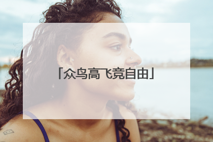 众鸟高飞竞自由
