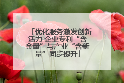 优化服务激发创新活力 企业专利“含金量”与产业“含新量”同步提升
