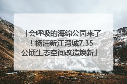 会呼吸的海绵公园来了！杨浦新江湾城7.35公顷生态空间改造焕新