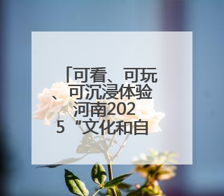 可看、可玩、可沉浸体验 河南2025“文化和自然遗产日”活动举行