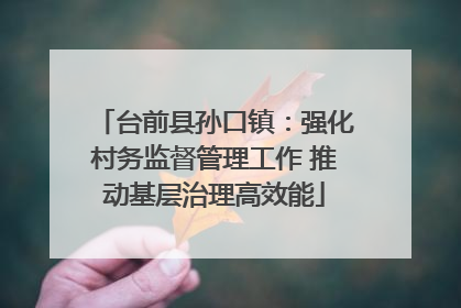 台前县孙口镇：强化村务监督管理工作 推动基层治理高效能