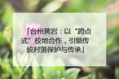 台州黄岩：以“蹲点式”校地合作，引领传统村落保护与传承