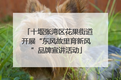 十堰张湾区花果街道开展“东风故里育新风”品牌宣讲活动