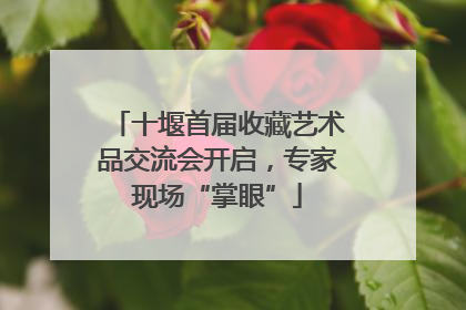 十堰首届收藏艺术品交流会开启，专家现场“掌眼”