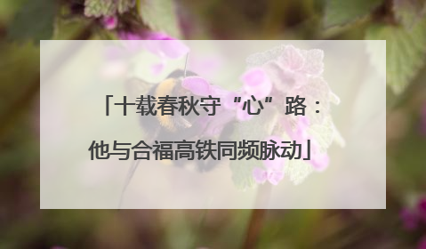 十载春秋守“心”路：他与合福高铁同频脉动