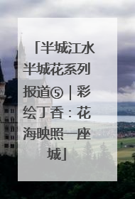 半城江水半城花系列报道⑤｜彩绘丁香：花海映照一座城
