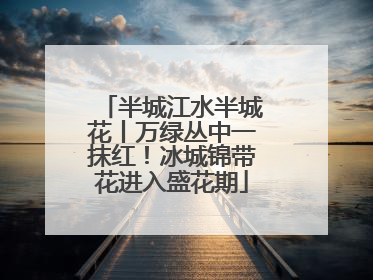半城江水半城花丨万绿丛中一抹红！冰城锦带花进入盛花期