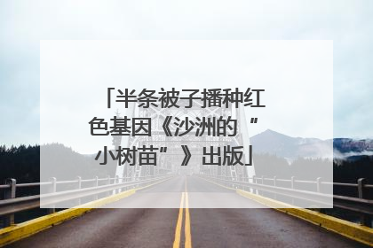 半条被子播种红色基因《沙洲的“小树苗”》出版