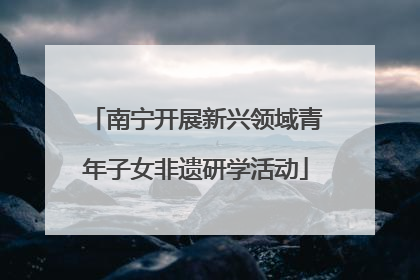 南宁开展新兴领域青年子女非遗研学活动