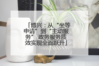 博兴：从“坐等申请”到“主动服务” 政务服务质效实现全面跃升