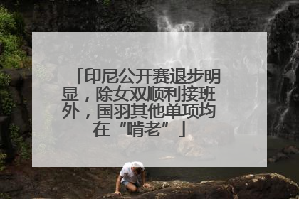 印尼公开赛退步明显，除女双顺利接班外，国羽其他单项均在“啃老”