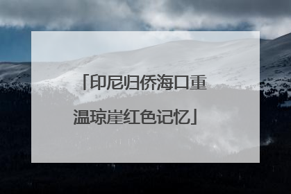 印尼归侨海口重温琼崖红色记忆