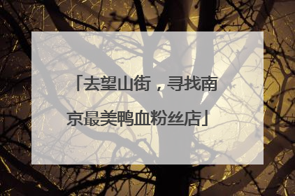 去望山街，寻找南京最美鸭血粉丝店