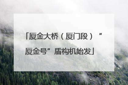 厦金大桥（厦门段）“厦金号”盾构机始发