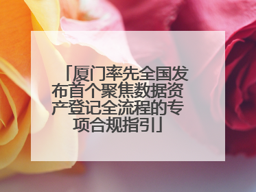 厦门率先全国发布首个聚焦数据资产登记全流程的专项合规指引