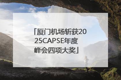 厦门机场斩获2025CAPSE年度峰会四项大奖