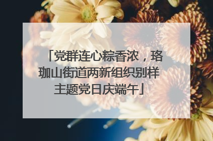 党群连心粽香浓，珞珈山街道两新组织别样主题党日庆端午