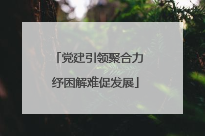 党建引领聚合力 纾困解难促发展