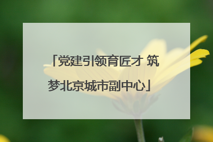 党建引领育匠才 筑梦北京城市副中心