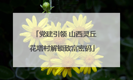 党建引领 山西灵丘花塔村解锁致富密码