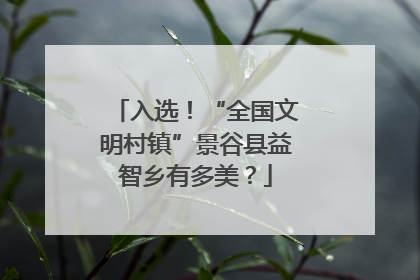 入选！“全国文明村镇”景谷县益智乡有多美？