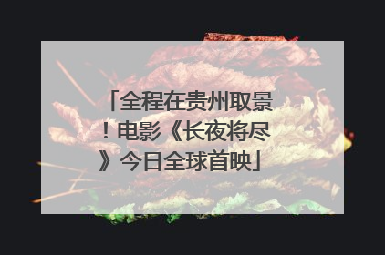 全程在贵州取景！电影《长夜将尽》今日全球首映