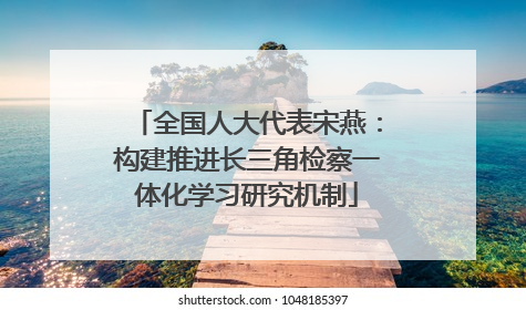 全国人大代表宋燕：构建推进长三角检察一体化学习研究机制