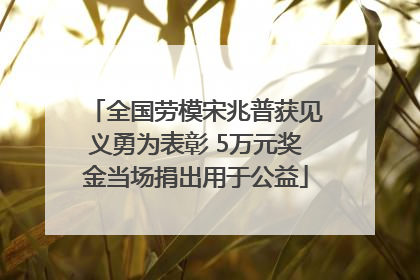 全国劳模宋兆普获见义勇为表彰 5万元奖金当场捐出用于公益