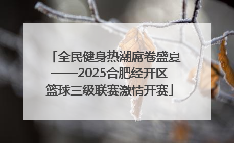 全民健身热潮席卷盛夏——2025合肥经开区篮球三级联赛激情开赛