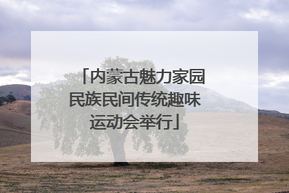 内蒙古魅力家园民族民间传统趣味运动会举行