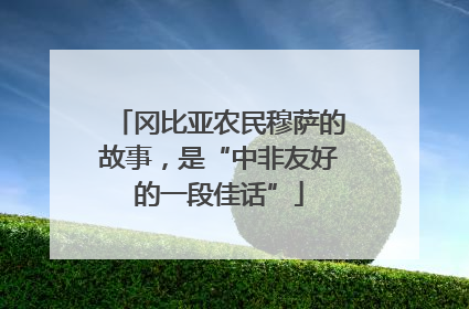 冈比亚农民穆萨的故事，是“中非友好的一段佳话”