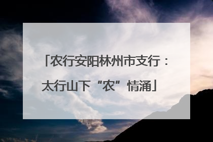 农行安阳林州市支行：太行山下“农”情涌