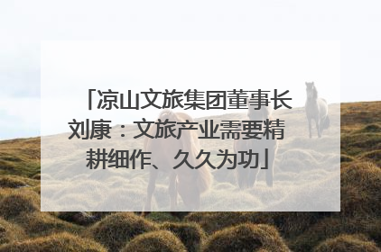 凉山文旅集团董事长刘康：文旅产业需要精耕细作、久久为功