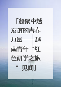 凝聚中越友谊的青春力量——越南青年“红色研学之旅”见闻