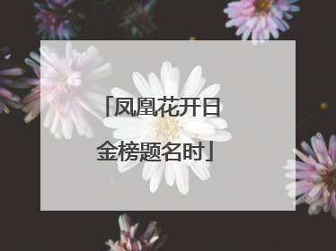 凤凰花开日 金榜题名时