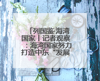 列国鉴·海湾国家丨记者观察：海湾国家努力打造中东“发展样本”